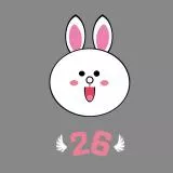 Cony rabbit