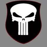 Punisher skull