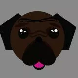 pug