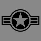 USAF Stealth Wing Emblem