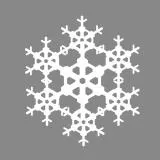 Snow flake
