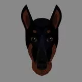 doberman