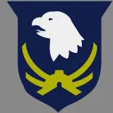 101st Infantry Division (pre-WWII)