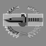 U.S. Army Combat Badge