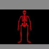 Ned Low's Jolly Roger