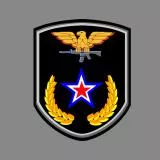 Guns of the Patriots