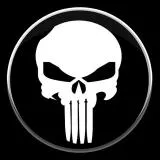 the punisher