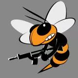 The mighty Wasp