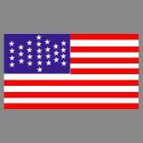 The Fort Sumter Flag 1861