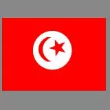 tunísia flag