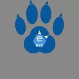 e621 Paw