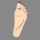 Female feet