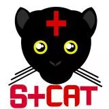 SaintCat