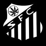 Santos fc